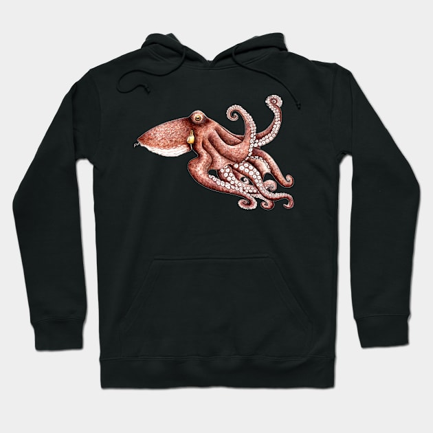 Octopus (Octopus vulgaris) Hoodie by chloeyzoard